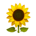 Grow a Garden Wiki